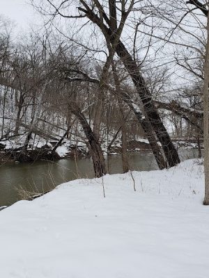 Palmyra Parks & Recreation
