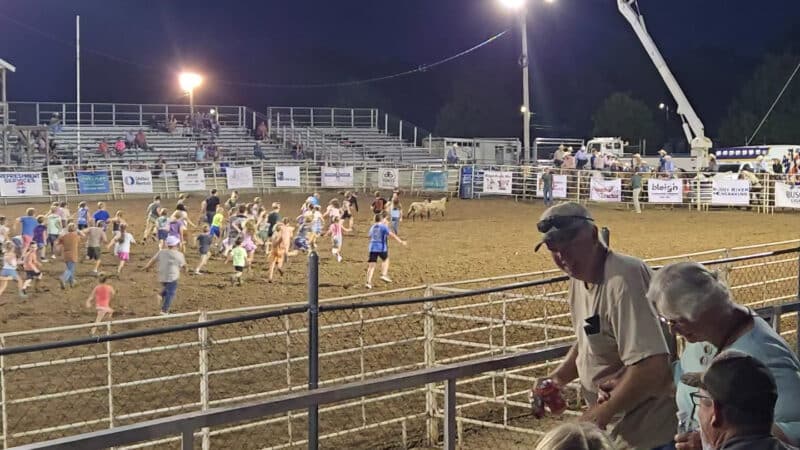 Palmyra Parks & Recreation - Palmyra, MO