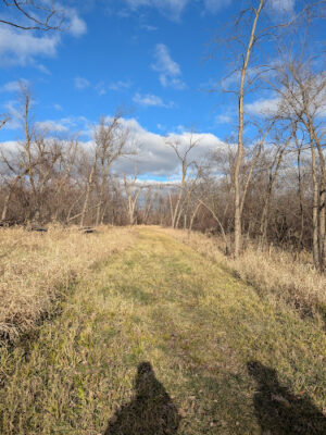 Palo Marsh Natural Area