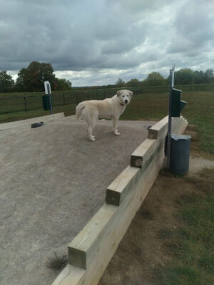 Paola Dog Park