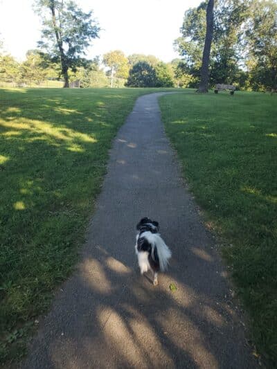 Friendship Park - Paoli, PA