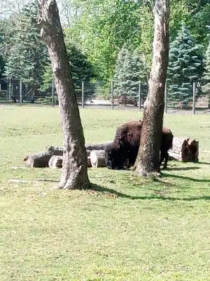 Van Saun County Park