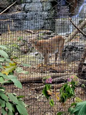 Van Saun County Park
