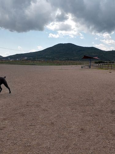 Park City Dog Park - Park City, UT