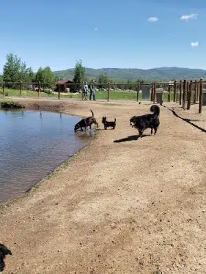 Willow Creek Dog Park