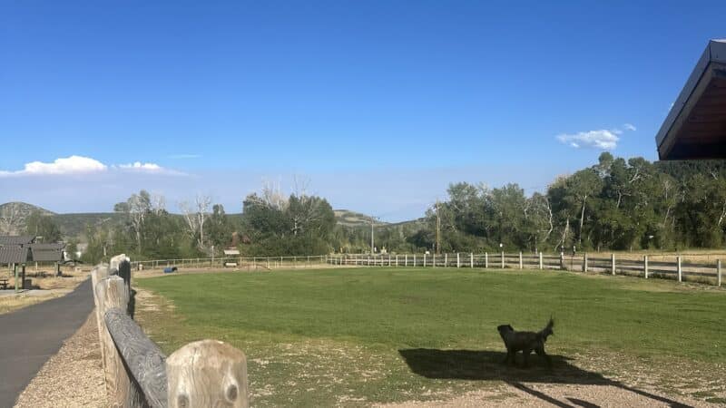 Willow Creek Dog Park - Park City, UT