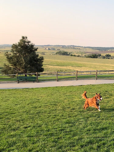 Bayou Gulch Dog Park