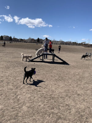 USMC CPL David M. Sonka Dog Park and Westcreek Disc Golf Course