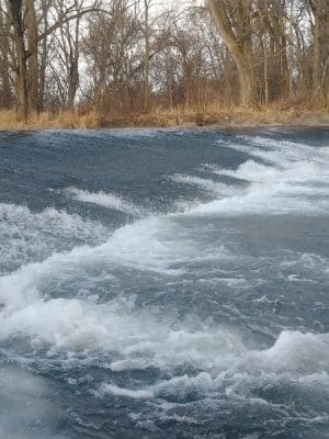Beaver Meadows County Park