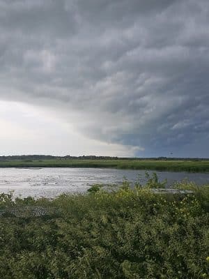 Big Marsh Wildlife Management