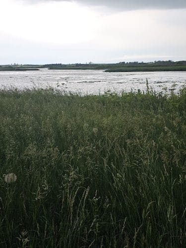 Big Marsh Wildlife Management