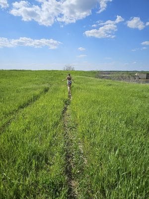 Big Marsh Wildlife Management
