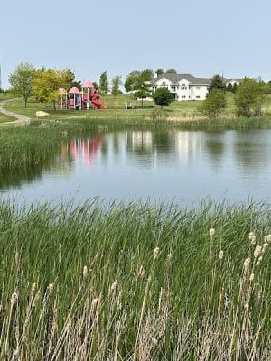 Schwartz Memorial Park