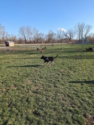 Platte Landing Park