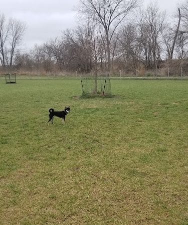 Platte Landing Park Dog Park