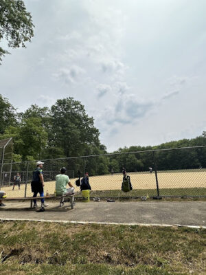 Old Troy Park