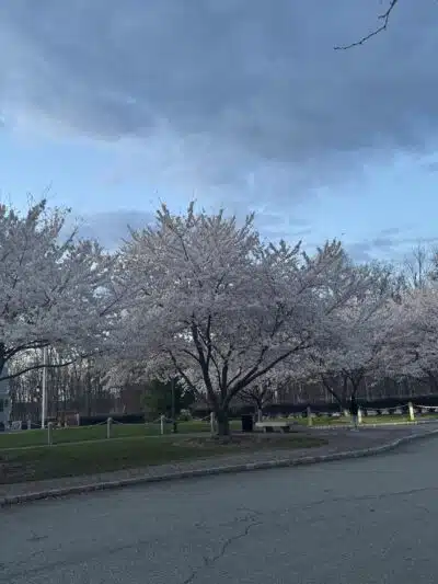 Veterans Memorial Park - Parsippany, NJ