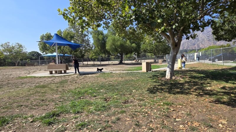 Alice's Dog Park - Pasadena, CA
