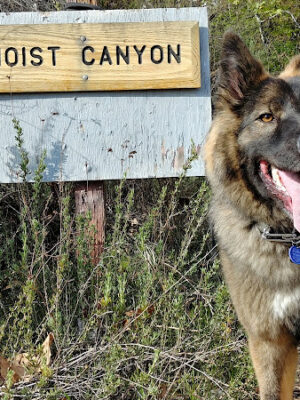 Eaton Canyon Trail Head