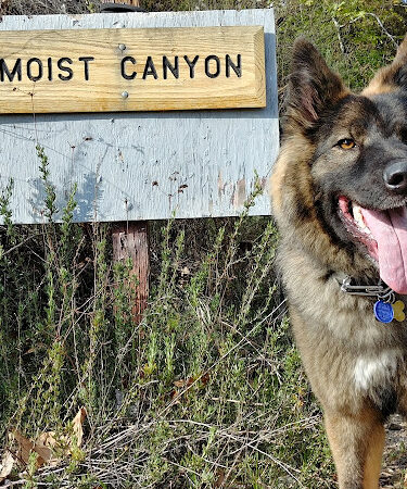 Eaton Canyon Trail Head