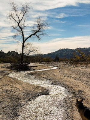 Hahamongna Watershed Park