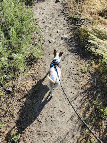 Henninger Trailhead