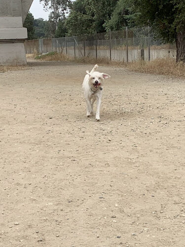 Lower Arroyo Park