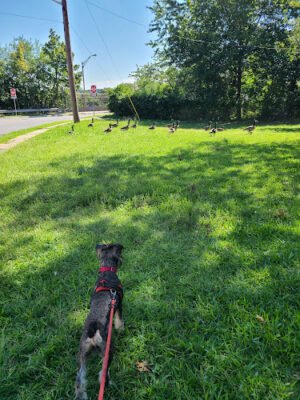 Armory Park