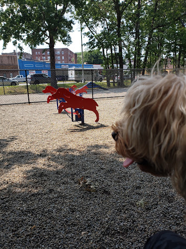 Armory Memorial Dog Park