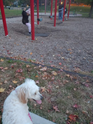 Third Ward Park