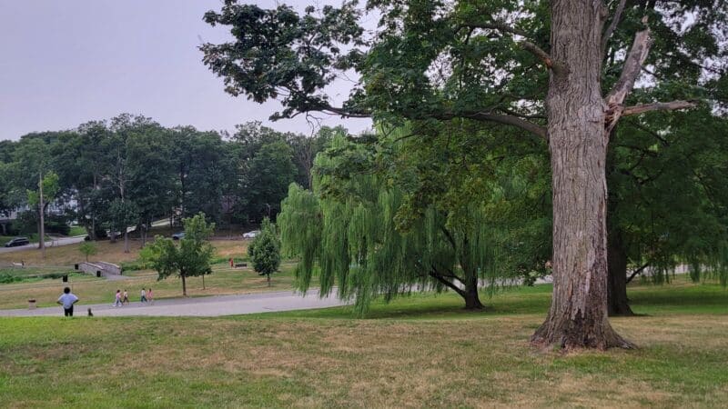 Third Ward Park - Passaic, NJ