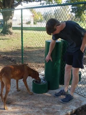 PAWS VALLEY DOG PARK - Pauls Valley, OK