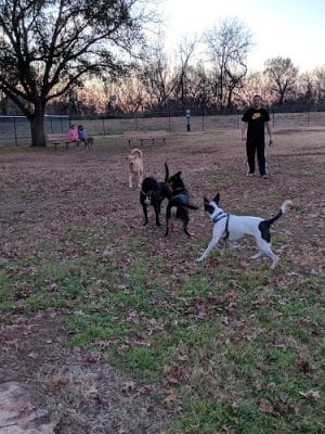 PAWS VALLEY DOG PARK - Pauls Valley, OK