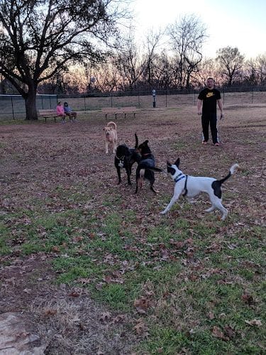 PAWS VALLEY DOG PARK - Pauls Valley, OK