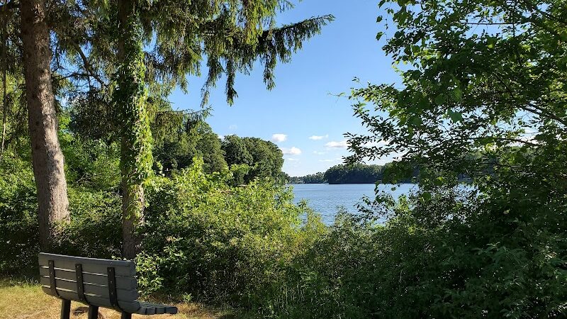 Maple Island - Paw Paw,
