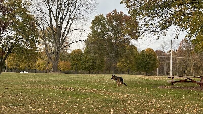 Maple Island - Paw Paw,
