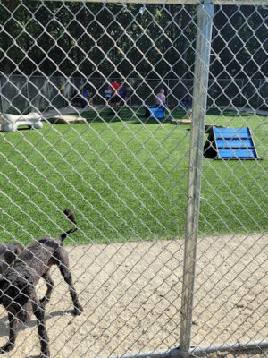 Fairlawn Dog Park