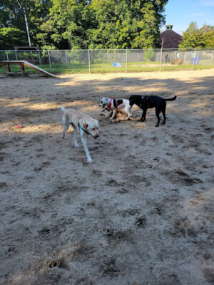 Pawtucket Dog Park (at Slater Park)