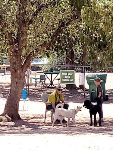 Rumsey Park Dog Park