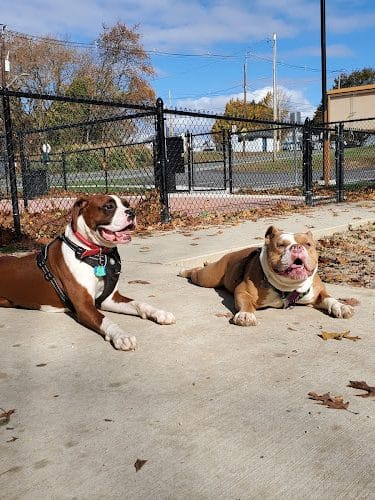 Peabody Dog Park - Peabody, MA
