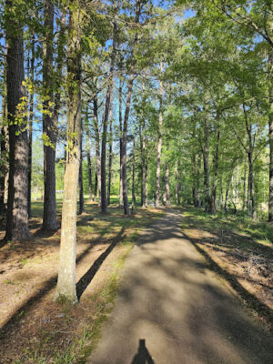 Jenkins Park