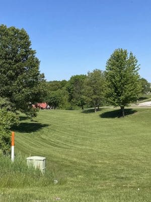 Lions Park
