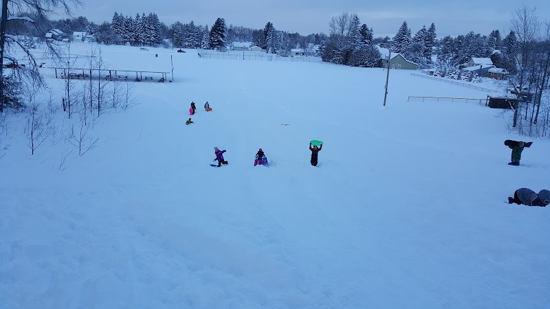 Pellston Pioneer Park - Pellston, MI