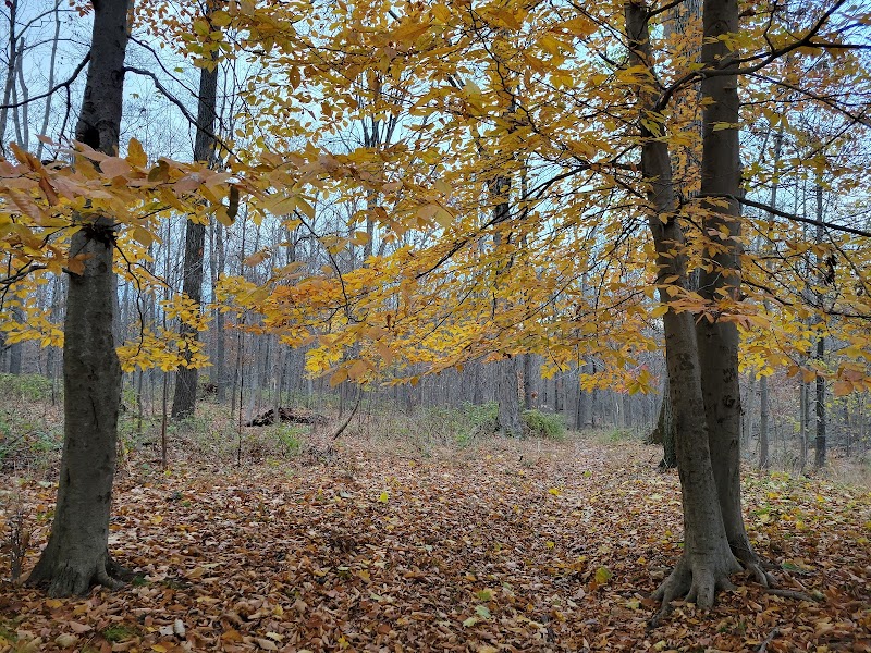 Kunkel Park - Pennington, NJ