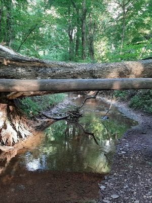 Kunkel Park