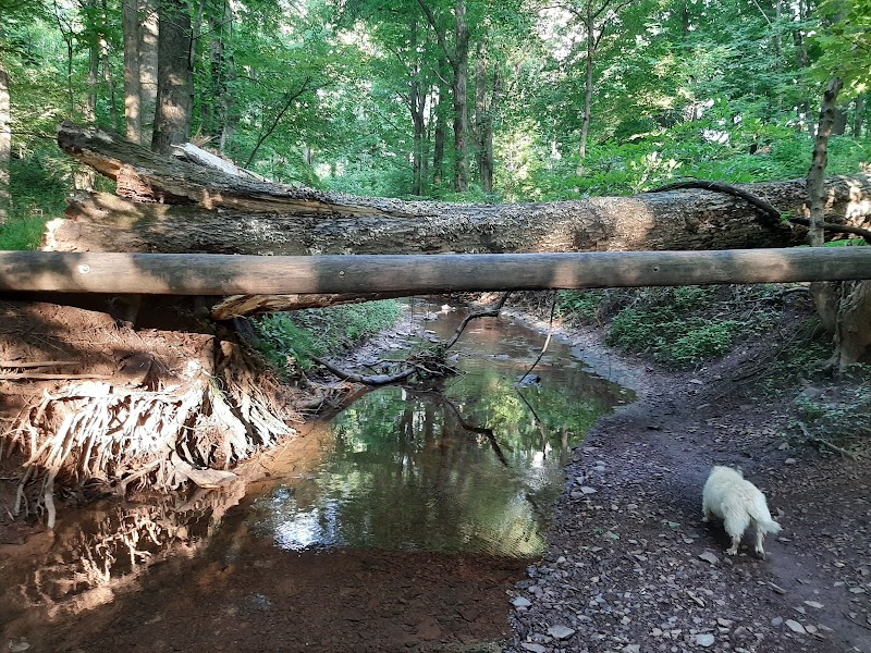 Kunkel Park - Pennington, NJ