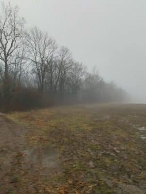 Kunkel Park