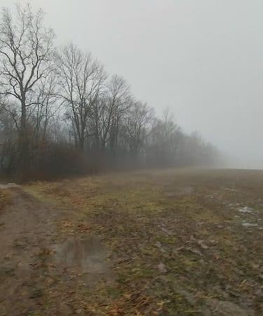 Kunkel Park