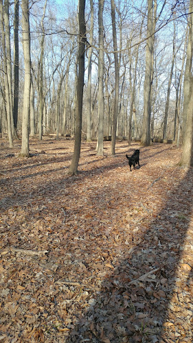 Kunkel Park