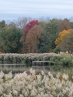 Rosedale Lake Parking Area: Lawrence Hopewell Trail